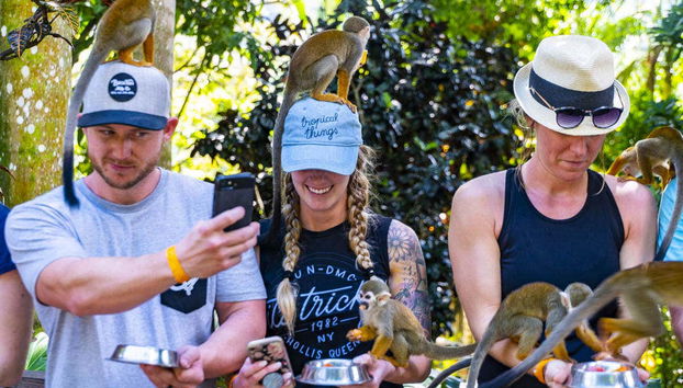 Jugando con los monos de Monkeyland