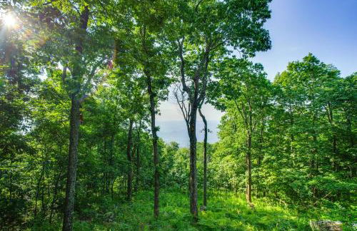 Serene Hideaway with Views, 1 Mi to Hike and Ski! - Foto 26