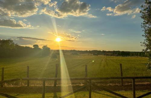 Terra dei Bisonti - Foto 6