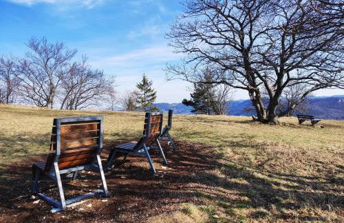 Apfelkiste - Foto 29