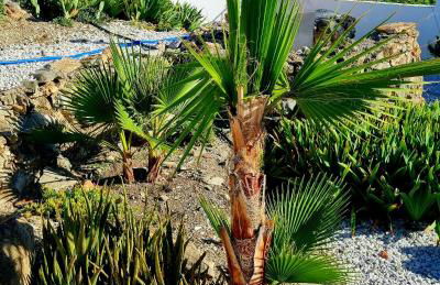 Cortijo naturista con vistas-clothing optional - Foto 50