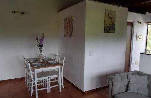 Mount Tatum - Foto 5