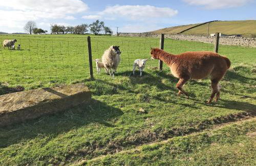 Ferny Rigg Byre - Uk3326 - Foto 26