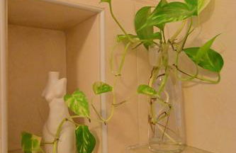 Luxury Home Boncompagni Rome - Foto 34