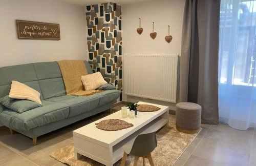 Gîte Marie Rose PMR- 2 à 4 personnes - Foto 6