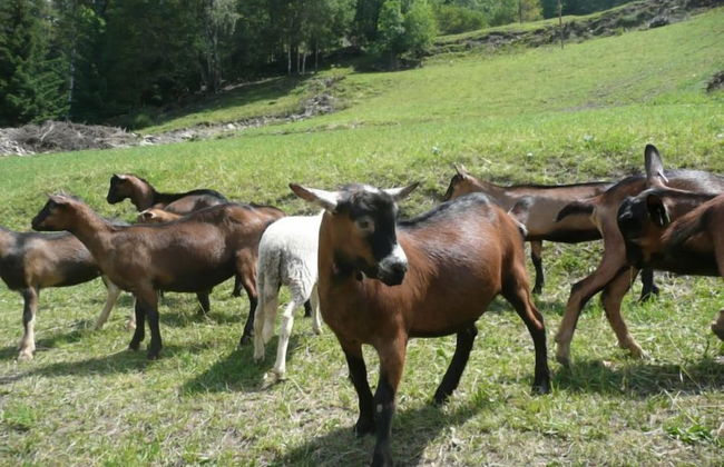 Agriturismo Le Reve - Foto 24