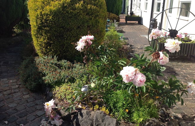 Birchenfields Family Friendly Cottages, Play Barn for all Ages and Summer Hous - Foto 32