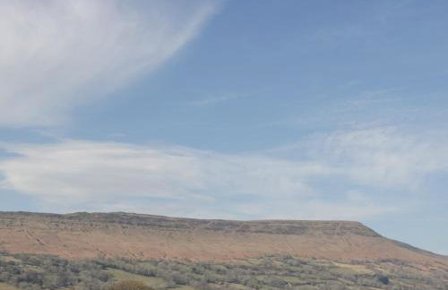 White Haywood Farmhouse - Photo 38