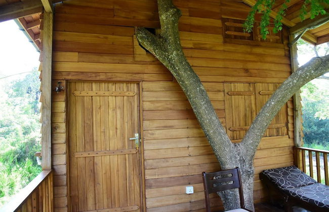Wilpattu Tree House Hotel - Foto 21