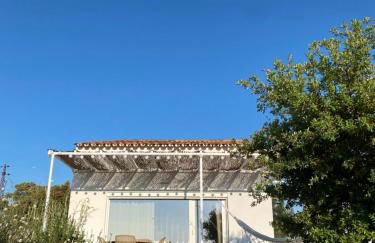 Vale Penedo - Foto 13