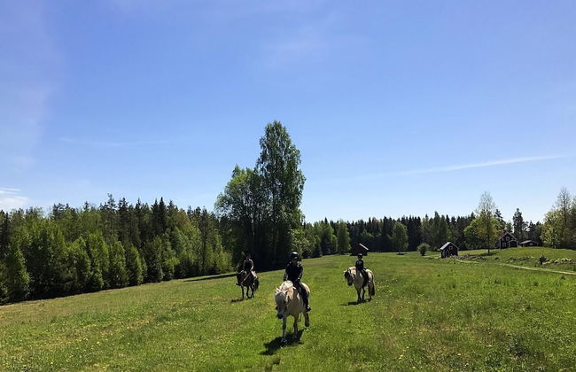 Grönelid Gård - Foto 29