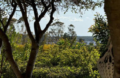 Ciclone House - Photo 19