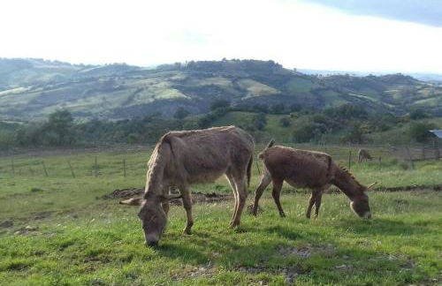 Agriturismo Meridiana - Foto 16