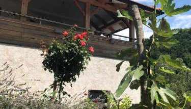 Apartmani Izvor - Tuheljske Toplice - Foto 4, Garden view