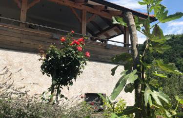 Apartmani Izvor - Tuheljske Toplice - Foto 4