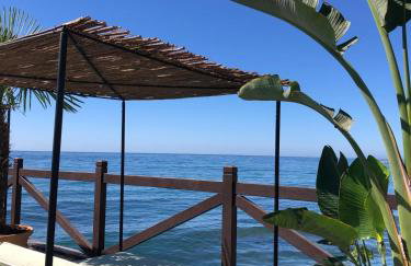 Margarita - Foto 18