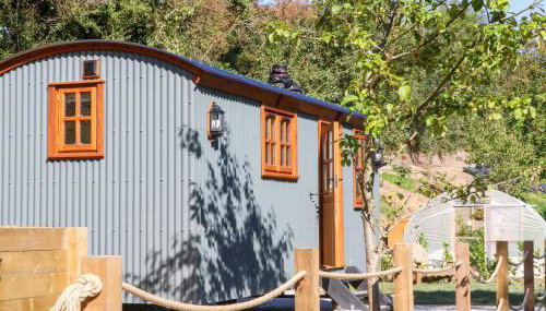 Little Silver Fox - Foto 4