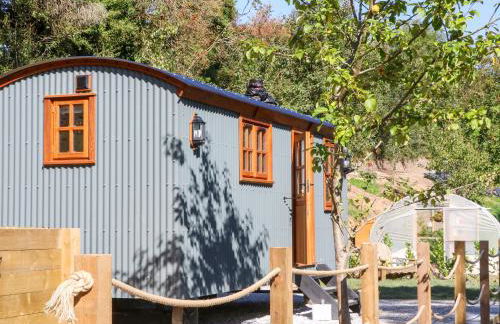 Little Silver Fox - Foto 4