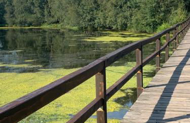 FeWo Citabria, elegante Wohnung, 2 Schlafzimmer, überdachte Terrasse - Foto 24