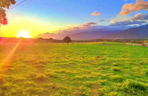 Casa Rural Concejo 2 - Foto 3