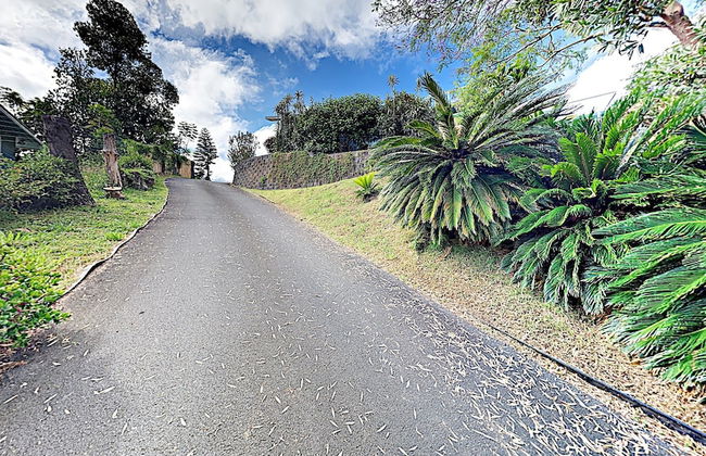 Hale Kiana - Foto 32