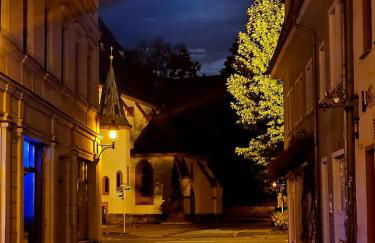 Döbeln ,Unterkunft für Montagen Arbeiter & Familien - Foto 25