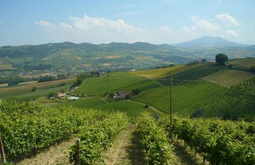 Agriturismo Biologico la Casa degli Gnomi - Foto 89