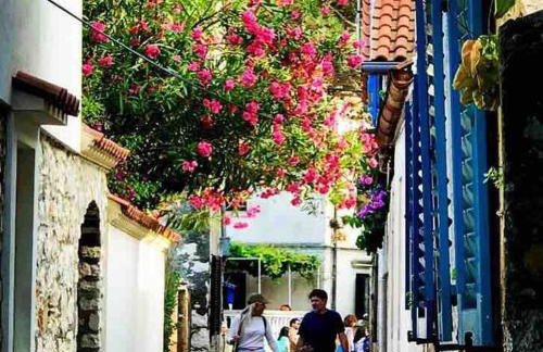 Authentic Vila Nona by NYC Interior Architect - Foto 61