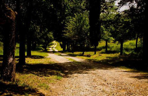 La Stellina Casa Vacanze - Relax immersi nella natura - Foto 24