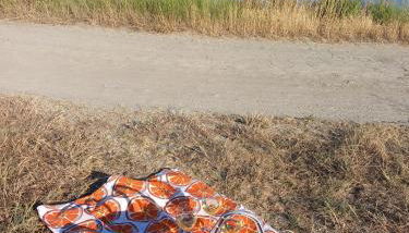 La Casa des Marais - Foto 3, Other