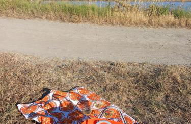 La Casa des Marais - Foto 3