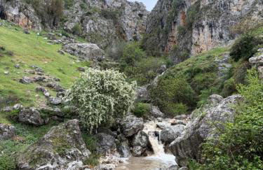 La Cenefilla - Photo 5