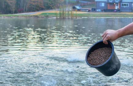 Eagle Lake Cottage - Foto 52