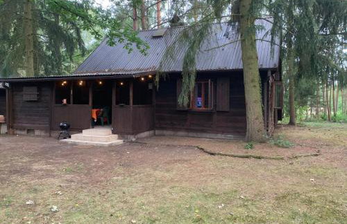 Dom z linią brzegową Narwi 3 - Photo 13