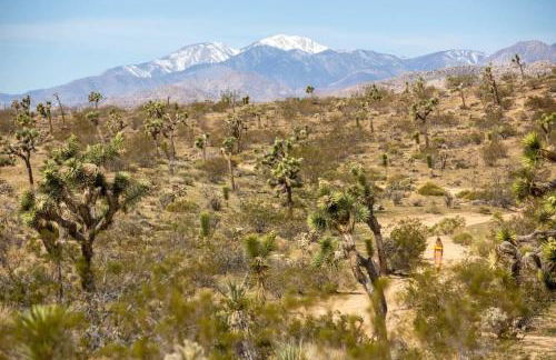 The Bungalows by Homestead Modern - Foto 8