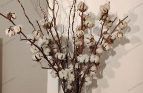 Appartement meublé classé 3 étoiles de 72 m2, 2 chambres - Foto 18