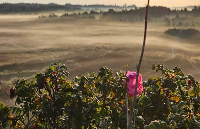 6 Person Holiday Home in Henne-by Traum - Foto 15