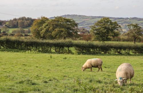 The Granary - Foto 23