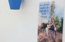 Xenia Alojamientos - Foto 31