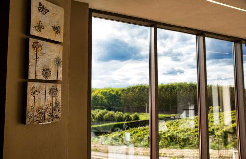 Agriturismo Vitae di Langa - Foto 47