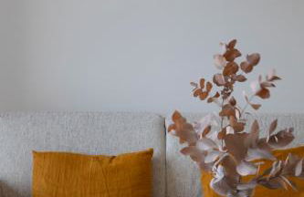 Casa Marina Cargèse - Foto 23