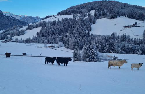 Biohof Untergröber - Foto 56