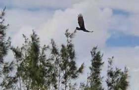 Casa_Mare11 - Foto 26