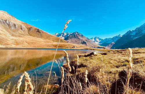 La Grange St. Cyprien, Venosc - Les Deux Alpes - Photo 38