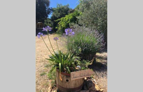 Ma petite cabane Gites des oliviers - Foto 15