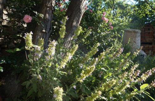 Apartmani Sanja - Foto 11