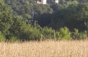 Charmanter Fachwerktraum an der Stadtmauer - Foto 62