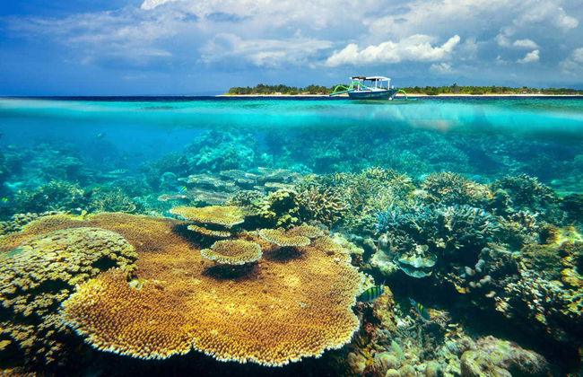 Boat to Nusa Penida & Gili Islands - Photo 2