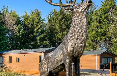 Burnside Lodge - Photo 13