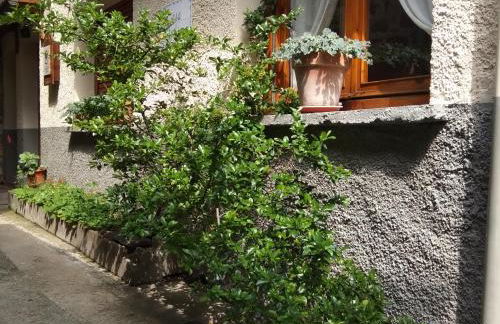 Casa Julio - Photo 4